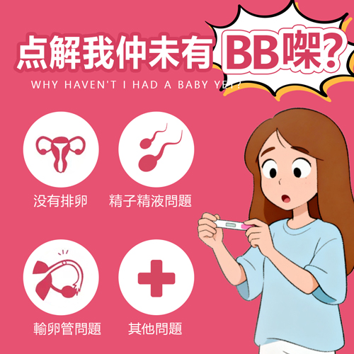 香港女性生育能力檢查要做哪些項目?完整評估一次睇清